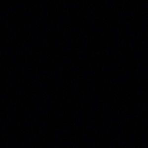 Meet your Posher, Darius